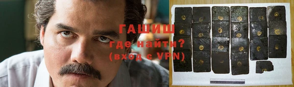 индика Алзамай