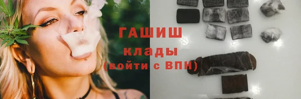 индика Алзамай