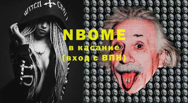 индика Алзамай