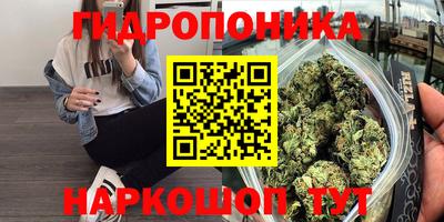 apvp Пенза