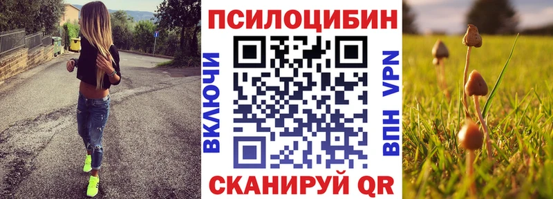 наркота Серпухов Галлюциногенные грибы Cubensis