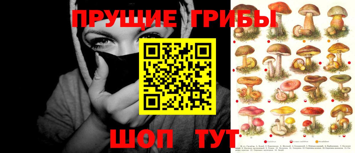 Псилоцибиновые грибы GOLDEN TEACHER  Вход с VPN  Серпухов 