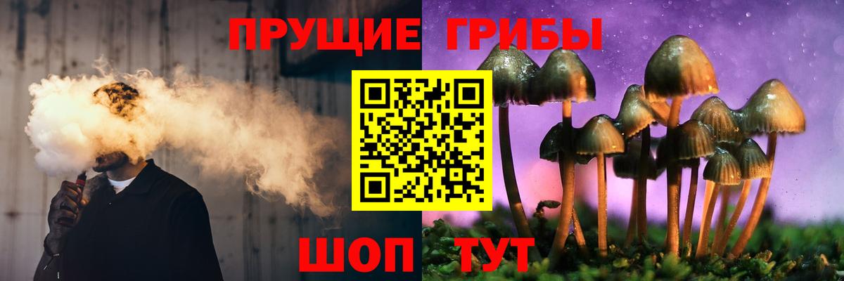Псилоцибиновые грибы Psilocybe Серпухов